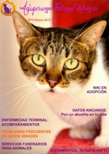 Gatos, cachorros y niños – Adopciones Felinas Valencia