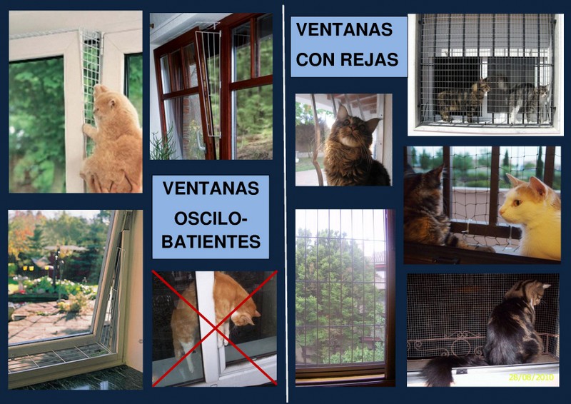 Gatos, ventanas y balcones (soluciones) - Protegelos