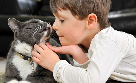 Gatos, cachorros y niños – Adopciones Felinas Valencia