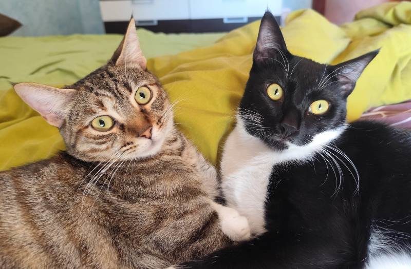 Valentina y Noé abril´25
