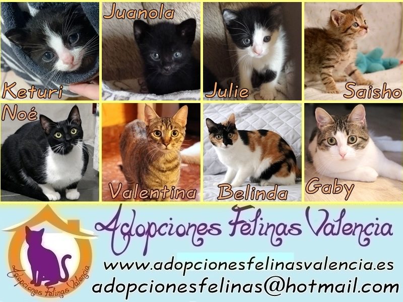 Cartel 1 abril´25
