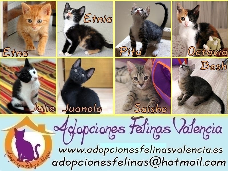 Cartel 1 agosto´25