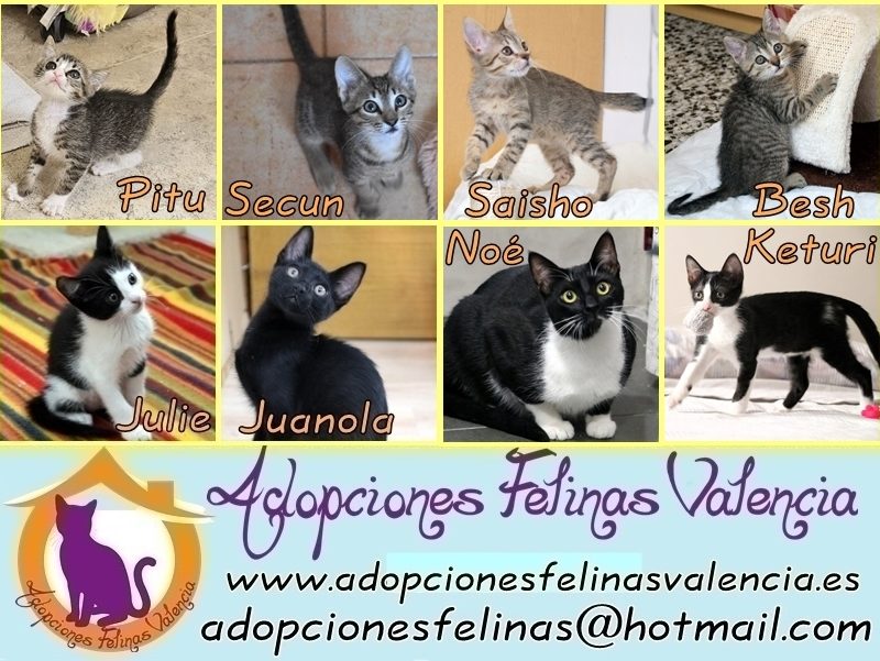 Cartel 1 junio´25 (1)